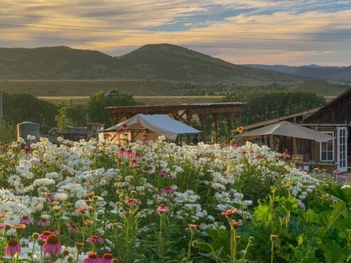 Dining Colorado April 2026 Dining Colorado April 2026